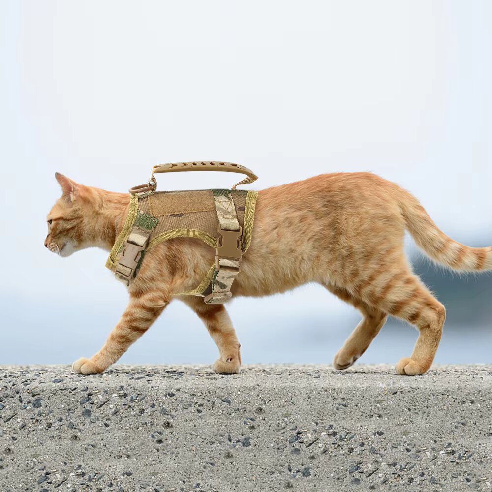 Harnais anti-fugue pour chat style militaire