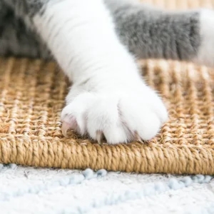 Tapis griffoir pour chat 40x30cm – Image 5