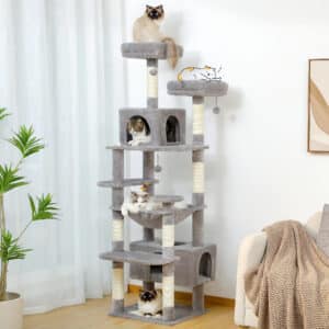 Boutique N°1 pour les chats