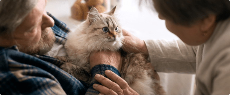 Combien De Temps Vit Un Chat