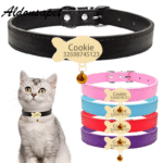 Collier chat personnalisé médaille dorée poisson
