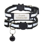 Collier chat personnalisé anti-étranglement et réfléchissant