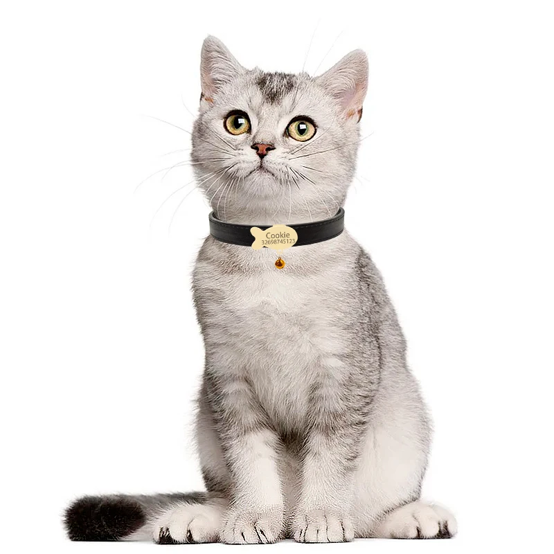 Collier chat personnalisé médaille dorée poisson Collier chat personnalisé médaille dorée poisson