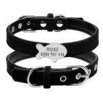 Collier personnalisé pour chat médaille argentée poisson